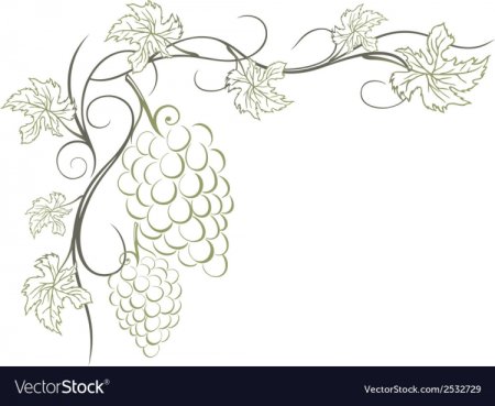 Трафарет Виноградная лоза на стену