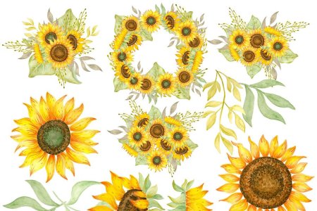 Подсолнухи узор