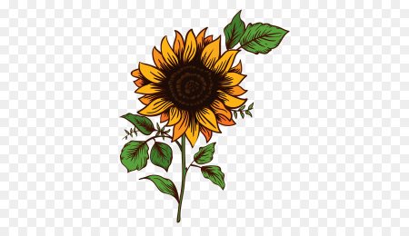 Векторный подсолнух