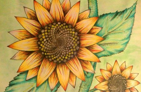 Подсолнух декор карандашом