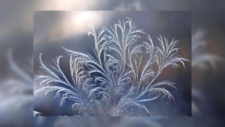 Морозные узоры