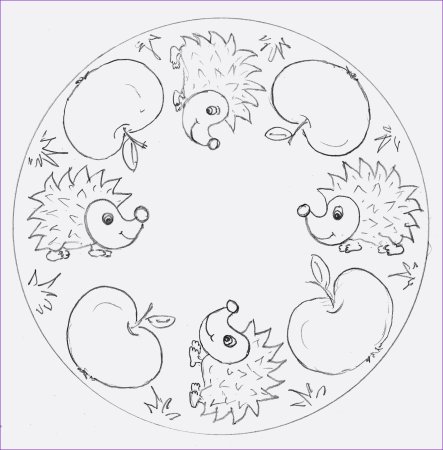 Осенние мандалы раскраски