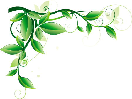 Зеленый узор