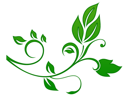 Зеленый растительный орнамент