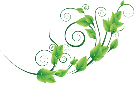 Зеленые узоры на белом фоне