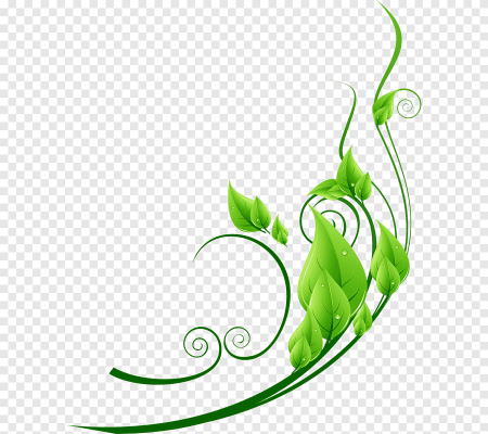 Зеленый орнамент на прозрачном фоне