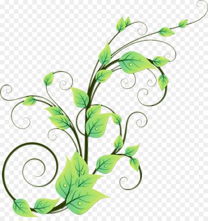 Растительный элемент с прозрачным фоном