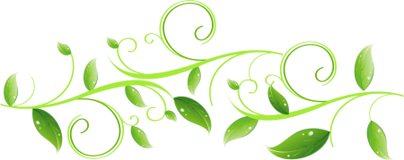 Растительные узоры на белом фоне