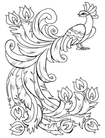 Жар птица раскраска
