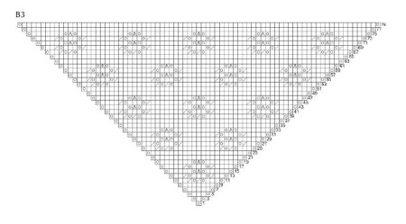 Шаль фрау Вальтер схема