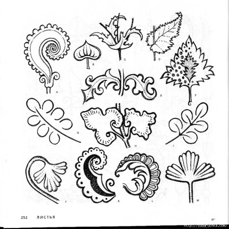 Элементы растительного орнамента