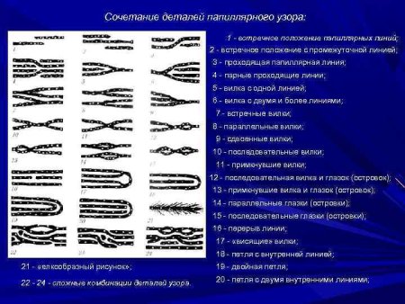 Шатровый дуговой папиллярный узор