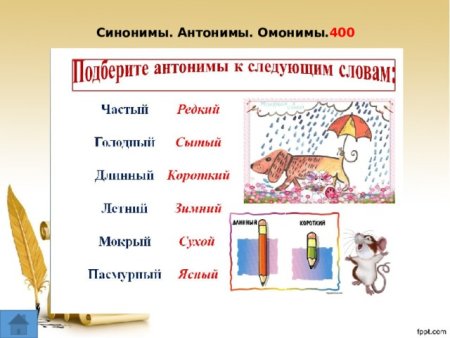 Антонимы омонимы