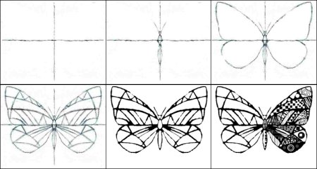 Рисование симметричных форм насекомые