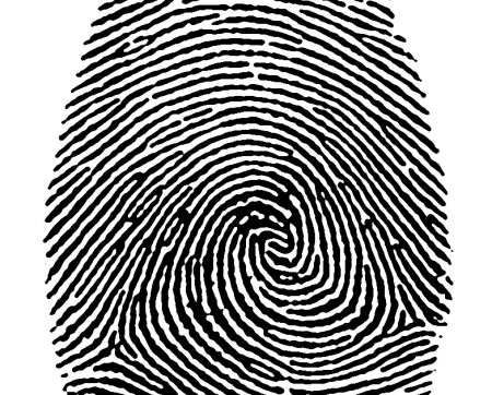 Папиллярные узоры на пальцах криминалистика