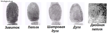 Папиллярные узоры на отпечатках пальцев