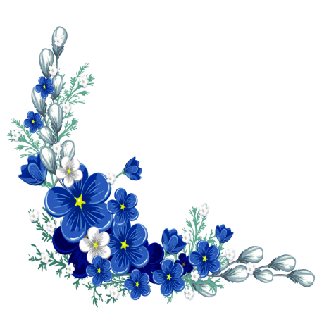Синие цветы на прозрачном фоне