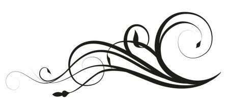 Завитушки черные