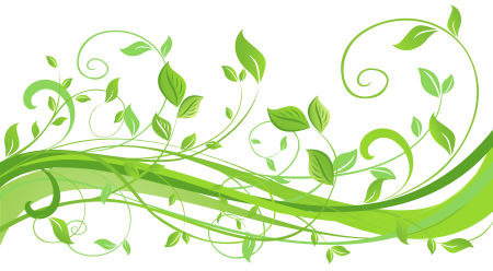 Зеленый узор