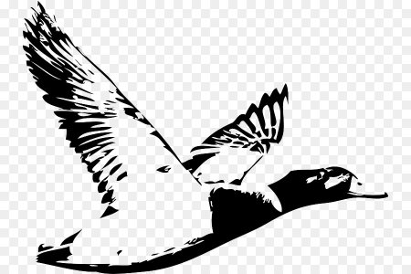 Силуэт летящей утки