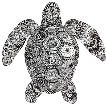 Зенарт черепаха