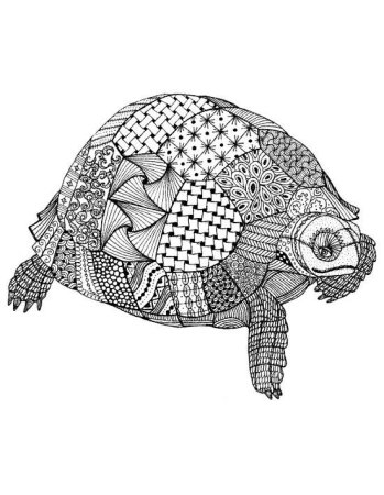 Мандала животных в цвете