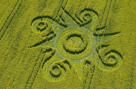 Поле рисунок