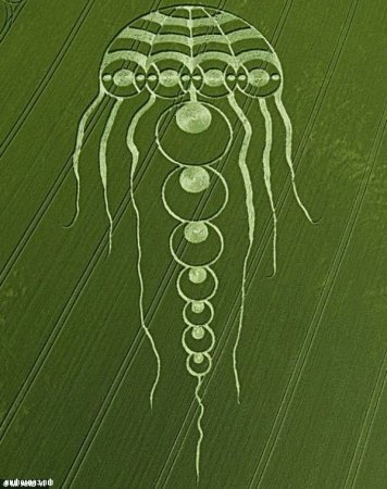 Знаки инопланетян на полях