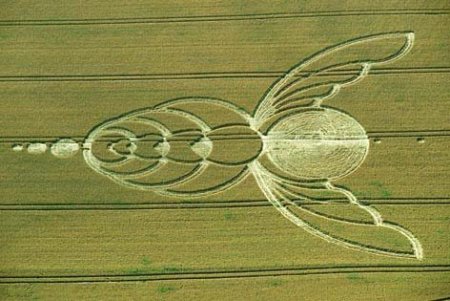 Круги на полях Жук