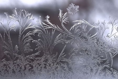 Белоснежные узоры на окне