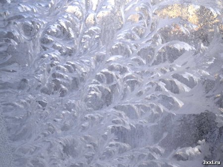 Зимние узоры