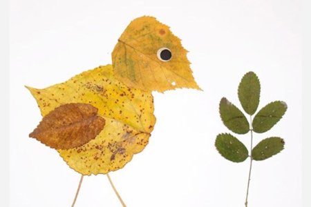 Композиция из опавших листьев