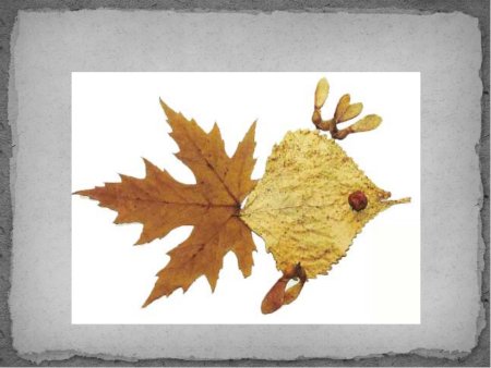 Узоры и фигурки из осенних листьев