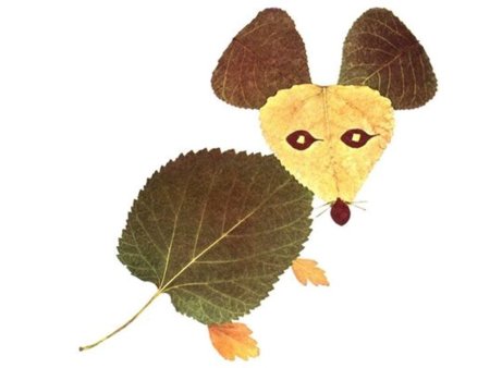 Аппликации изилмстьев