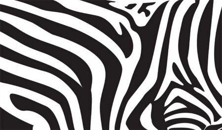 Полоски зебры