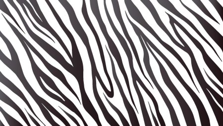 Зебра принт вектор