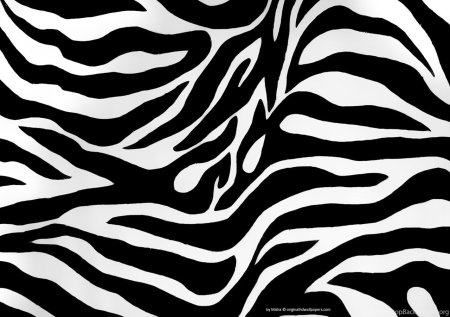 Зебра паттерн бесшовный