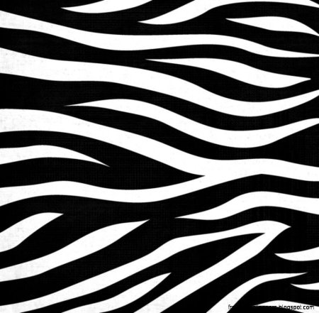 Полосы зебры