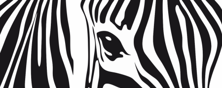 Полосы зебры