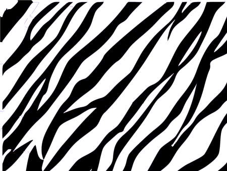 Полосы зебры