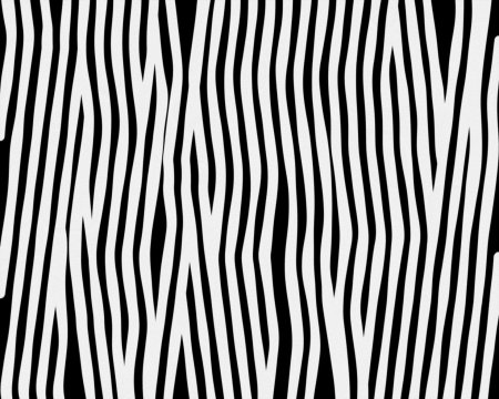 Зебра паттерн вектор