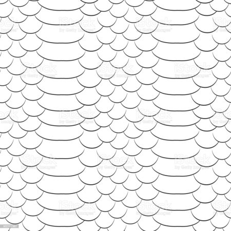 Чешуя змеи черно белая