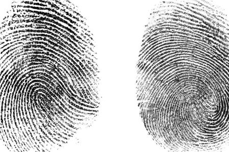 Дактилоскопия папиллярных узоров пальцев рук