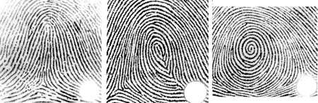 Папиллярные узоры на отпечатках пальцев