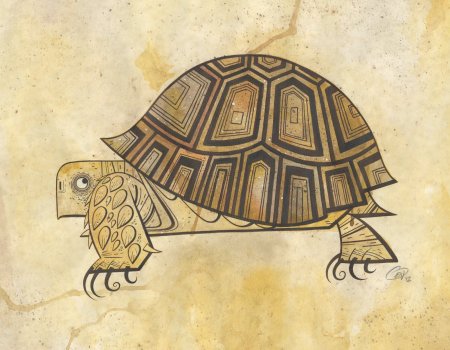 Узор на панцире черепахи рисунок (44 фото)