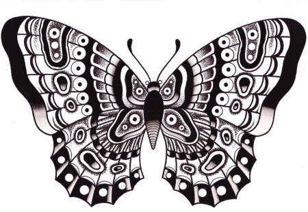 Стилизованная бабочка