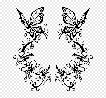 Орнамент бабочки