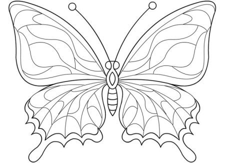 Раскраска "бабочки"