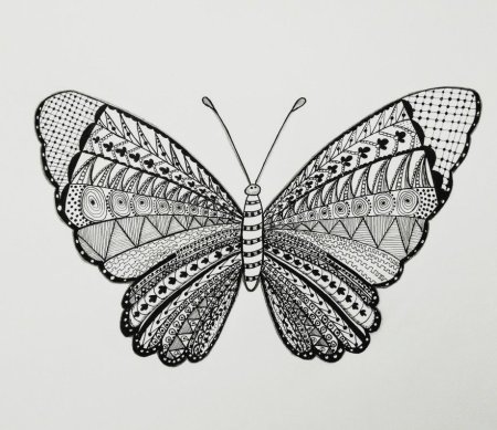 Бабочка Узорная