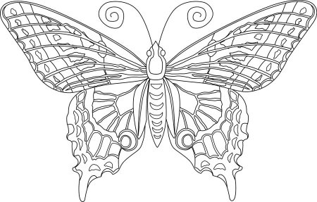 Бабочка простым карандашом